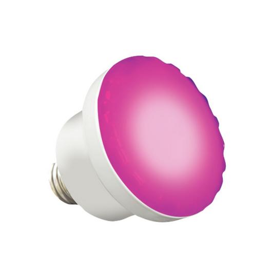J&J Electronics - 12V, 6W ColorSplash Color Changing and White LED Spa Lamp