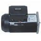 Jacuzzi® - 38710 TEFC 1.5 HP Squared Single Speed Pool Motor