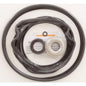 All Seals - O-Ring Kit WhisperFlo Pump Rebuild Kit